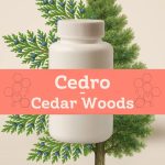 Cedro - Cedar Woods E-1042
