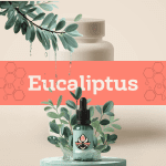 Eucaliptus E-1066