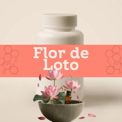Flor de Loto E-1109