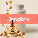 Jengibre E-1088