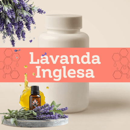 Lavanda Inglesa E-1098
