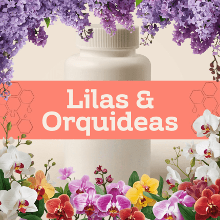 Lilas & Orquídeas E-1177