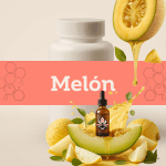 Melón E-1127