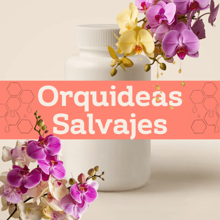 Orquídeas Salvajes E-1240