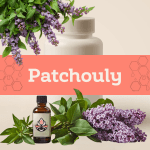 Patchouly E-1160