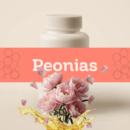 Peonias E-1163