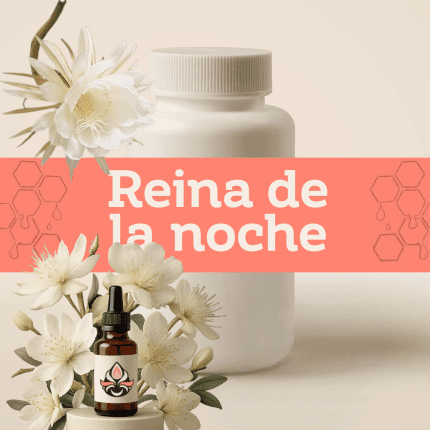 Reina de la Noche E-1179