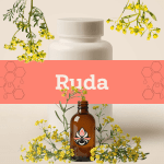 Ruda E-1187