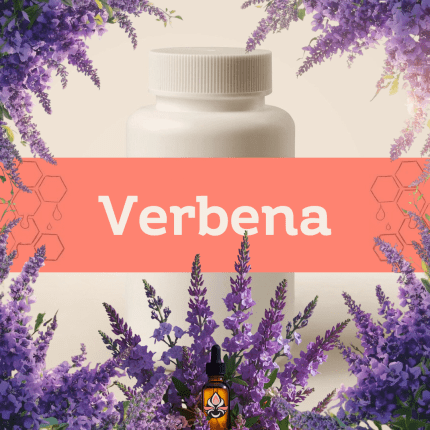 Verbena E-1221