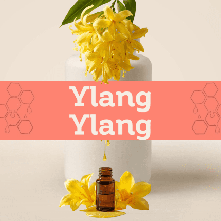 Ylang Ylang (Flor de Cananga) E-1228
