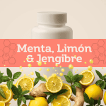 Menta, Limón & Jengibre E-1132