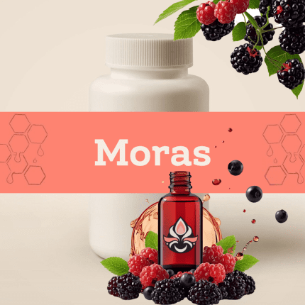 Moras E-1140