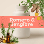 Romero & Jengibre E-1266