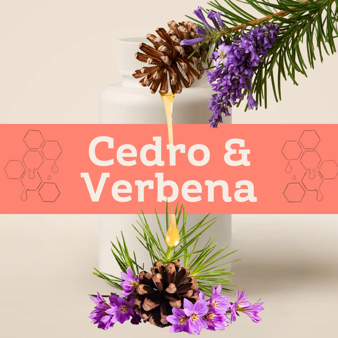 Copia de cedro y vainilla